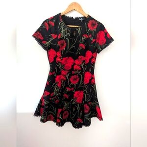 Lulu's Poppy Dress